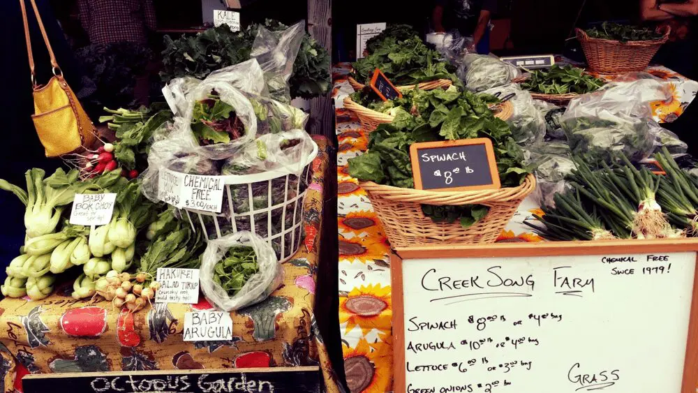 A visual tour of the Boone farmers' market stalls and visitors