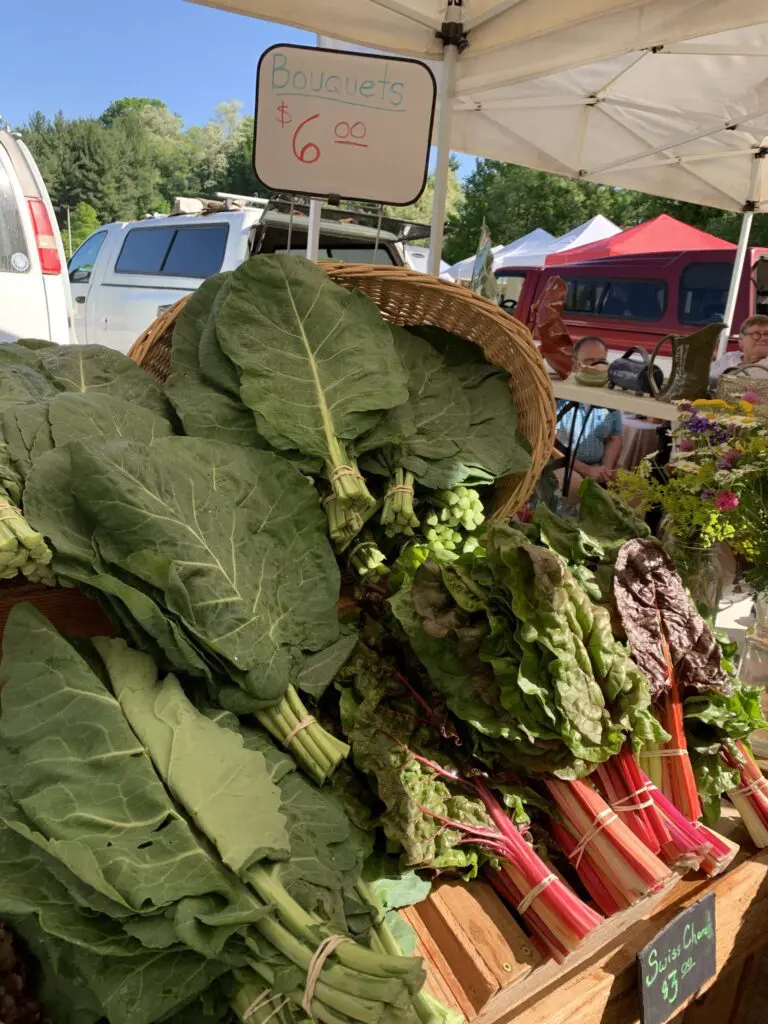 A messy farmers market haul spread out on a marble counter with vibrant green leafy vegetables, radishes, and dark purple onions