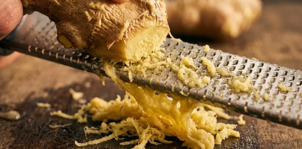 A large ginger root being grated across a fine microplane, juice and fiber running down the blade.