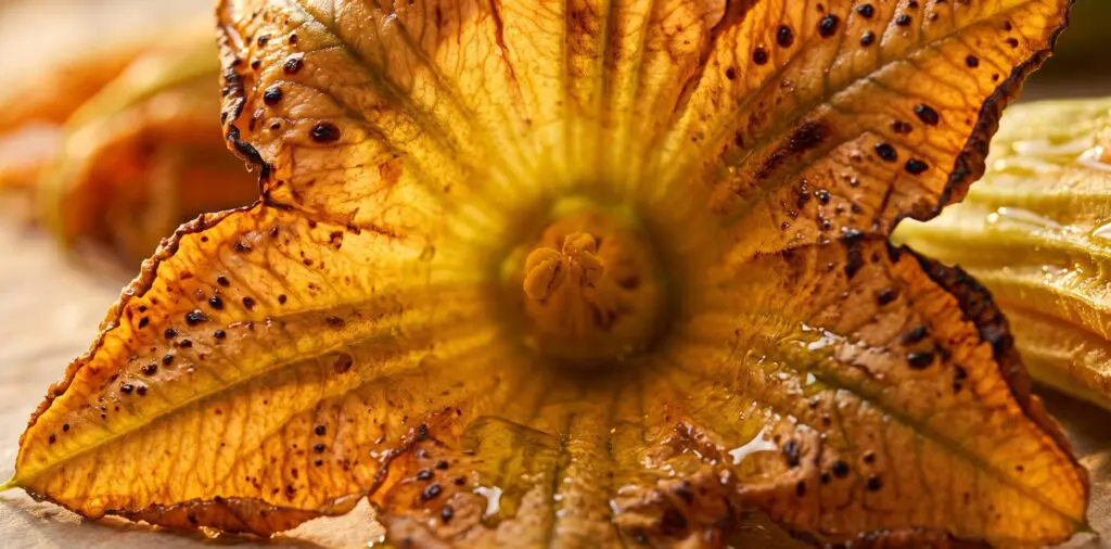 Delicate squash blossoms on parchment, orange-yellow petals beginning to blister at the edges.