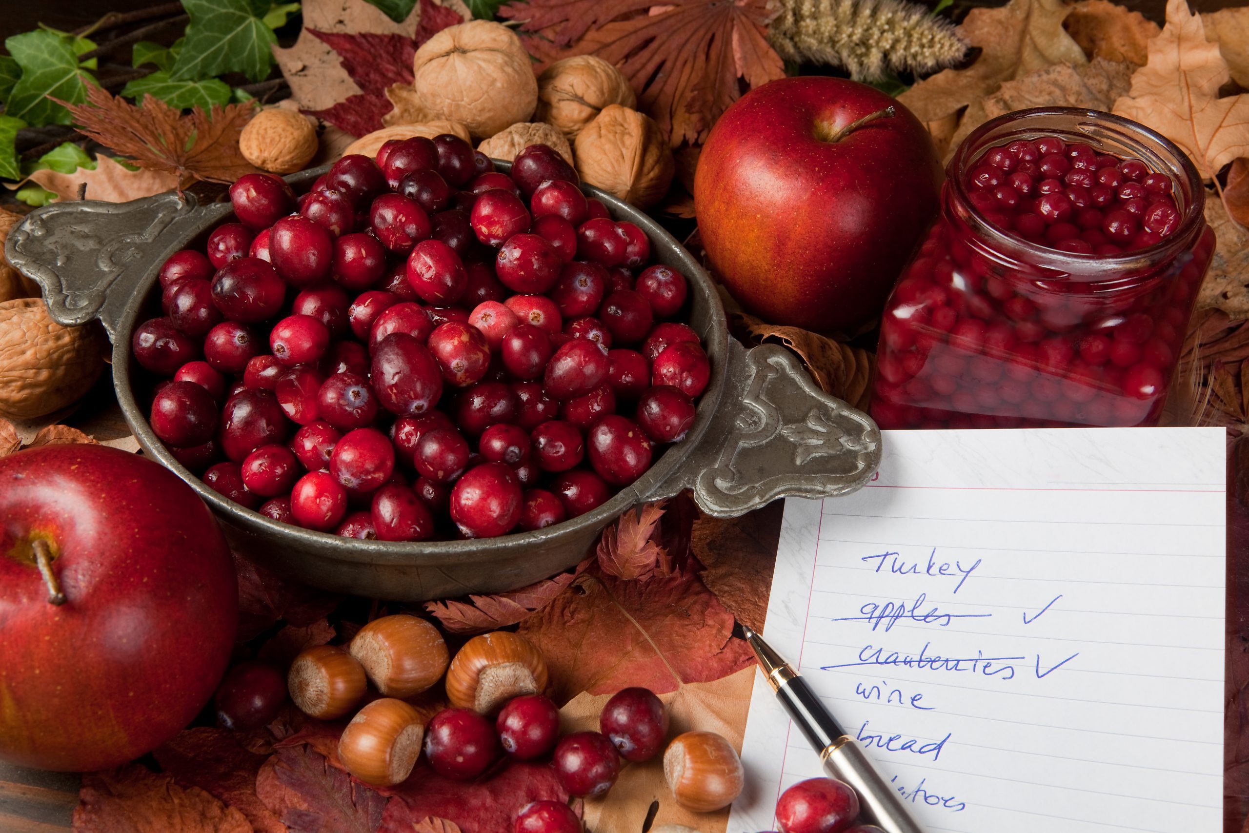 Thanksgiving shopping list with cranberries, apples and nuts