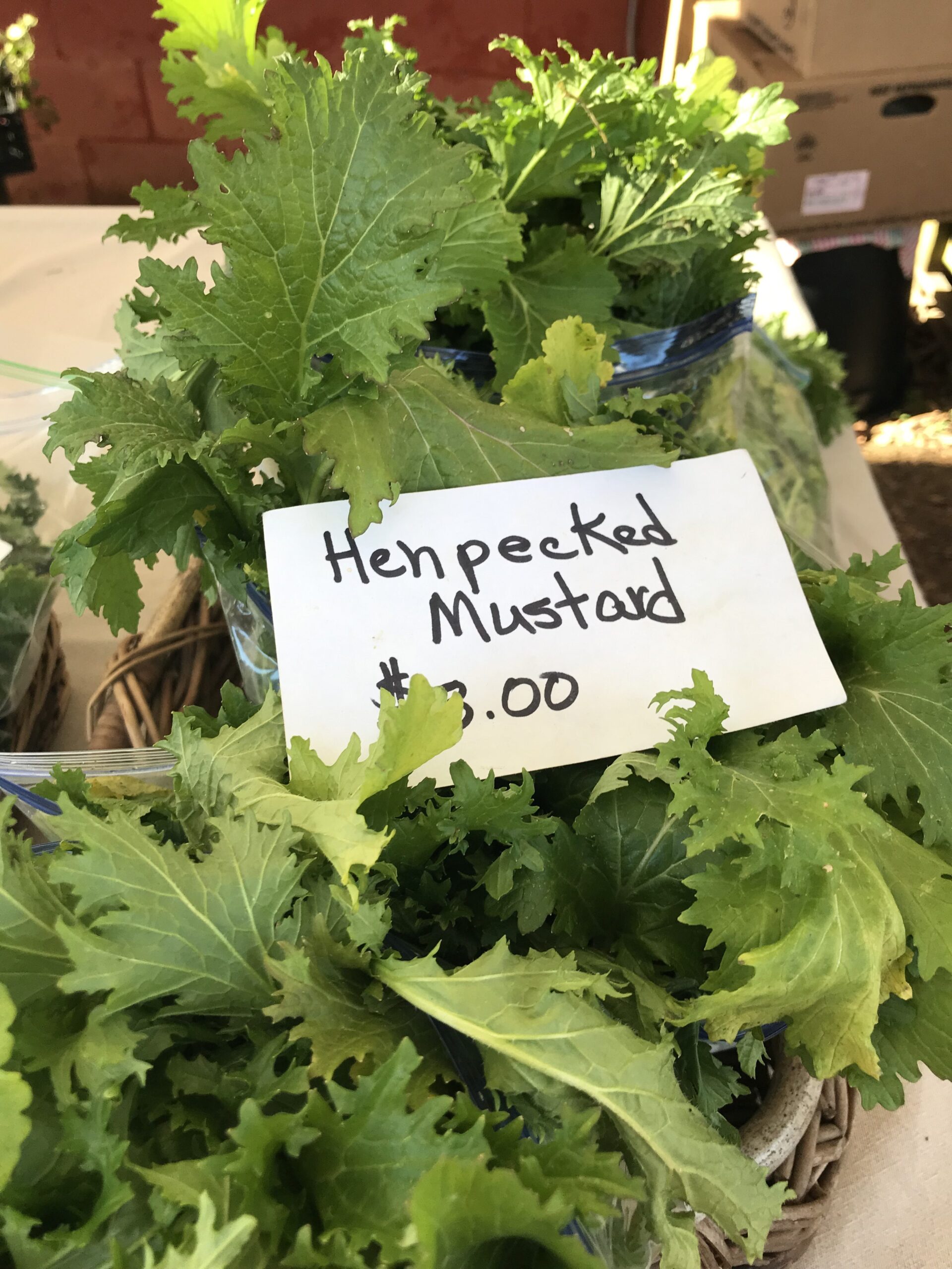 Vibrant fresh market offerings and the spirit of the season