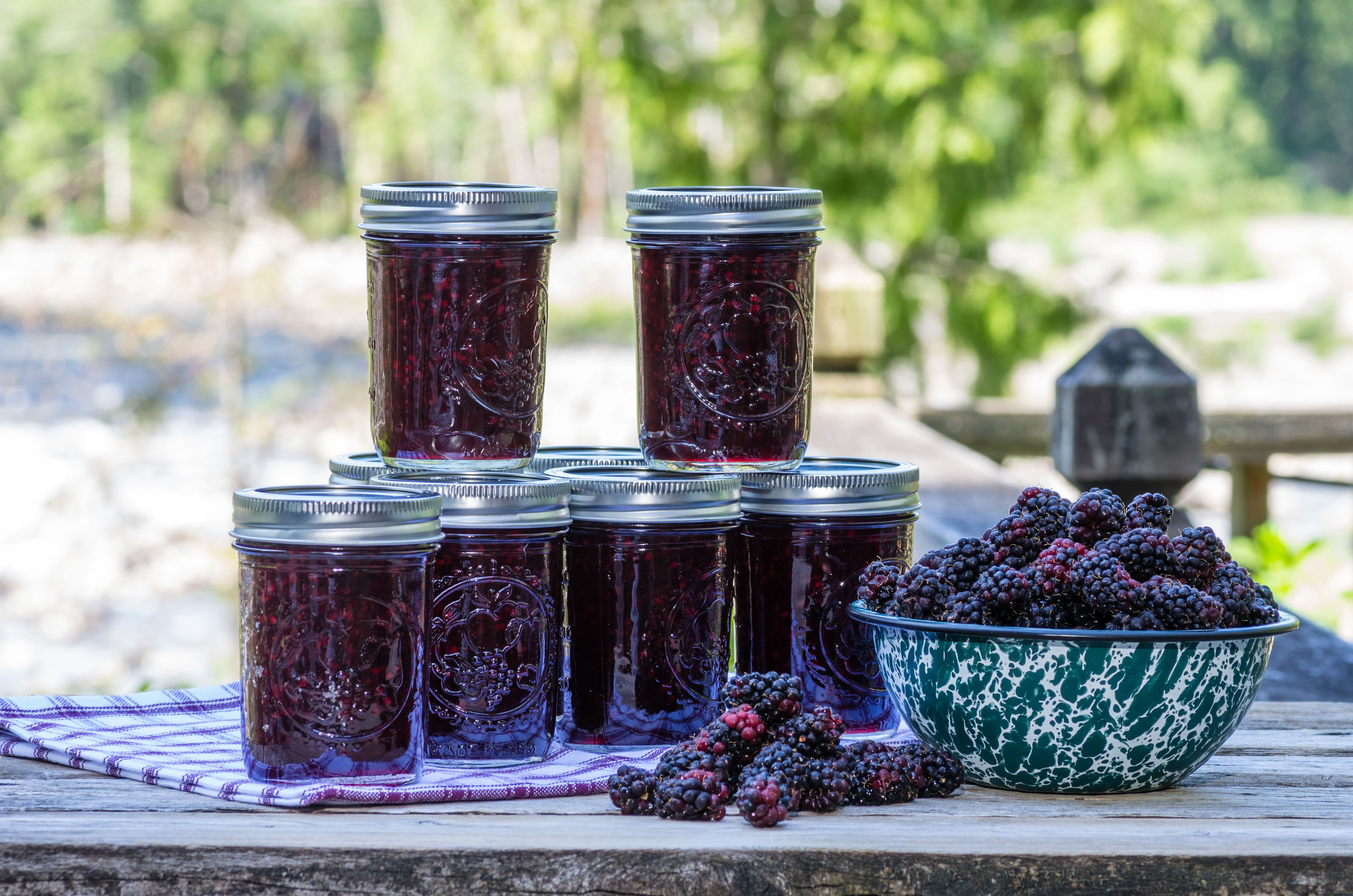 Blackberry Season Calls for a Jam Session!