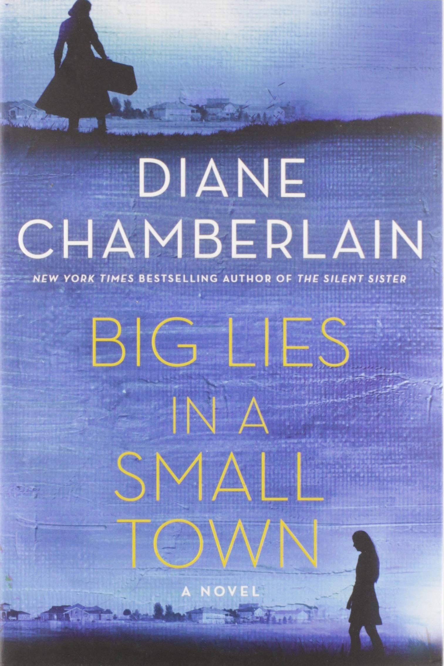 Diane Chamberlain Big Lies in a Small Town Selection
